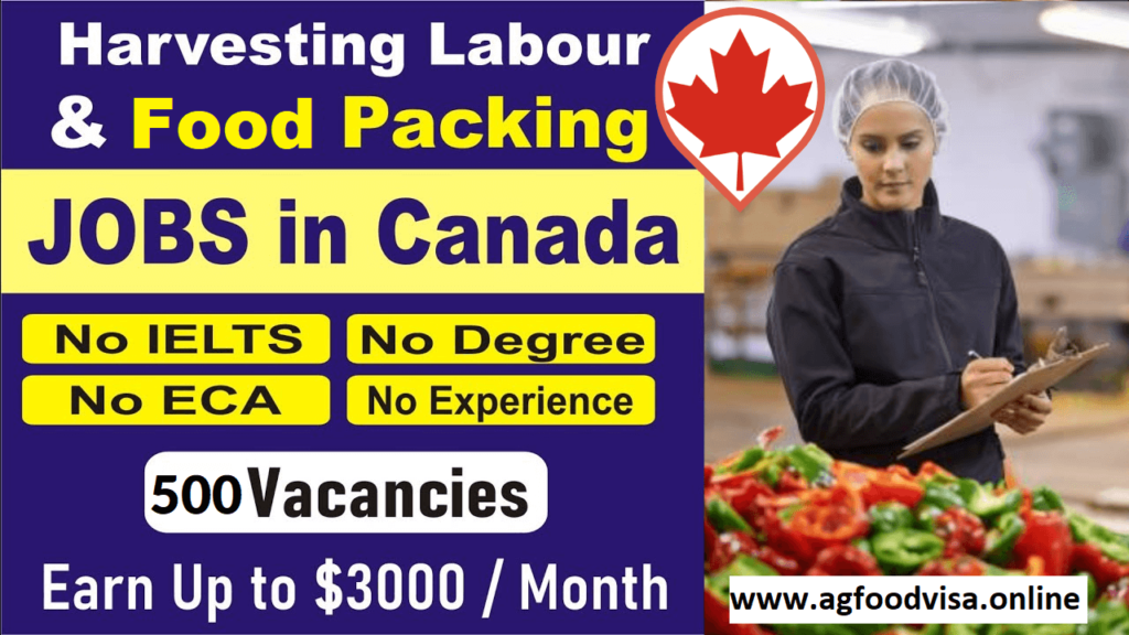 ag food company canada